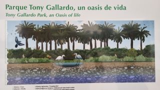 2023-02-Parque_Tony_Gallardo-01.jpg